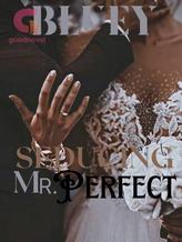 Novel Seducing Mr.Perfect by Bluey