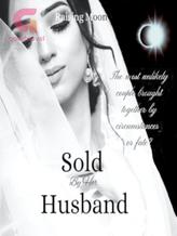 Novel Sold By Her Husband by Raising Moon