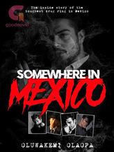 Novel Somewhere In Mexico by Flow