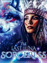 Novel THE LAST LUNA SORCERESS by Deediong Francis