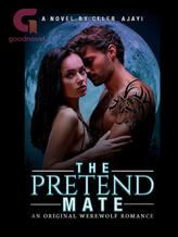 Novel The Alpha’s Pretend Mate by Celeb_ajayi