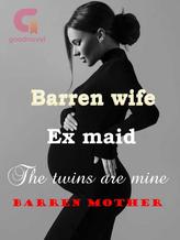 Novel The Barren wife/EX Maid (the Twins are mine barren mother ) by module Dasilva