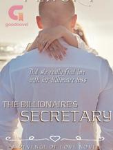 Novel The Billionaire’s Secretary by Pencry