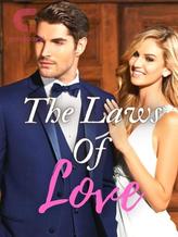 Novel The Laws of Love by Seenbi