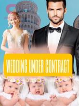 Novel Wedding Under Contract by Scarlett