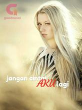 Novel jangan cintai AKU lagi by Pinjolcan