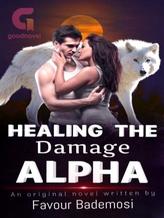 Novel Healing The Damaged Alpha by Favour