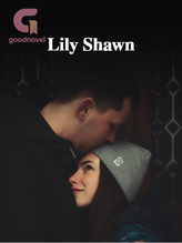 Novel Lily Shawn by Judith C-Tagoe