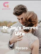 Novel Mr Jay’s Secret Wife by Pororo