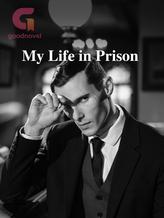 My Life in Prison