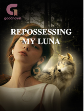 Novel REPOSSESSING MY LUNA by Lilly Rose