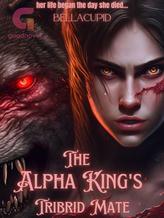 Novel The Alpha King’s Tribrid Mate by Bella Cupid