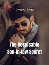 Novel The Despicable Son-In-Law’s Secret by Twine Twin