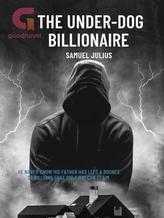 Novel The Under-dog Billionaire by Samuel Julius