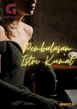 Novel Pembalasan Istri Kumal by Pramesti GC