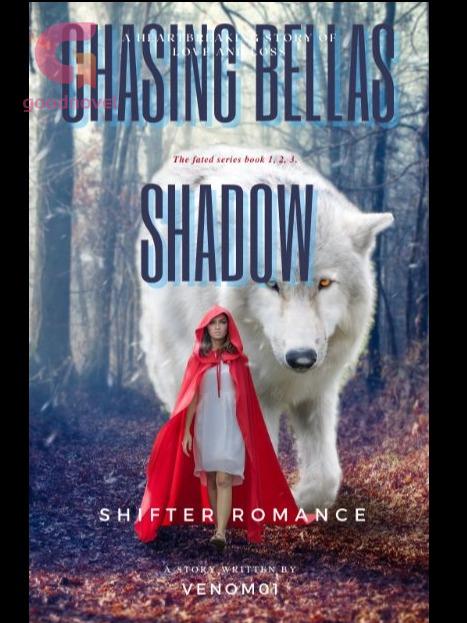 Chasing Bella's shadow Chasing Bella's shadow